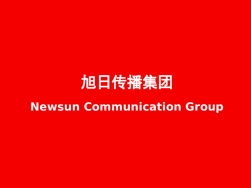 立白品牌策略.PPT