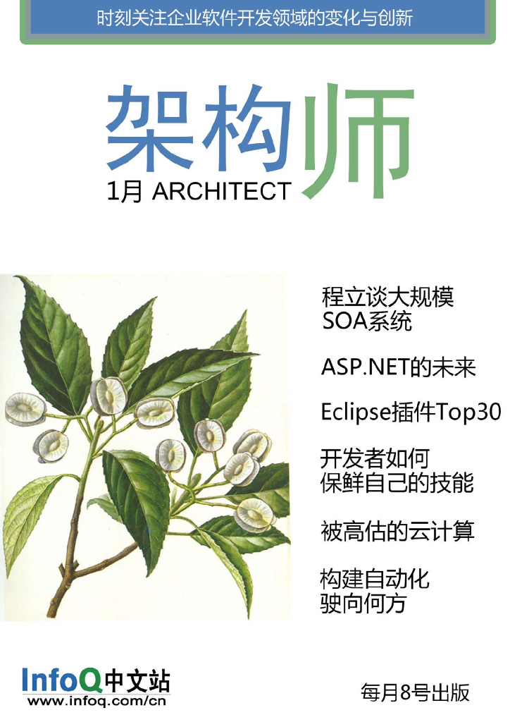 InfoQ研究中心：《架构师》（2010年1月刊）