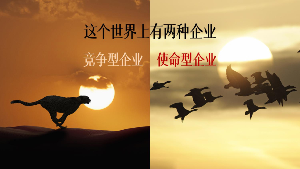 数字时代品牌营销的变与不变_第5页