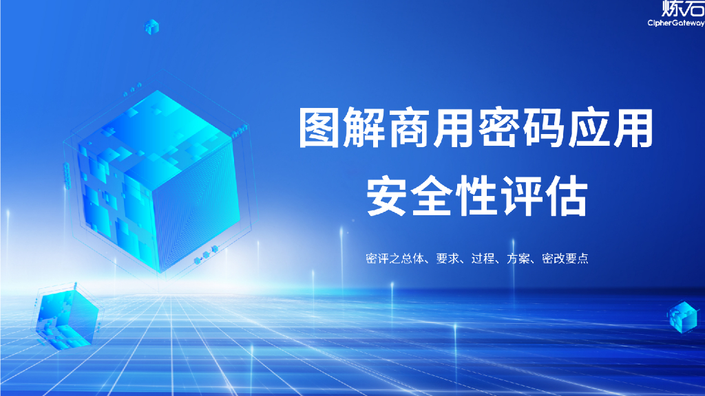 炼石网络：图解商用密码应用安全性评估（V2.0.0）