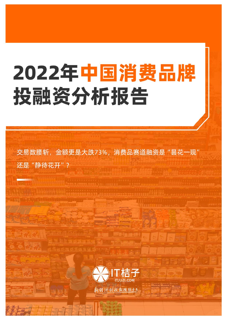 IT桔子：2022年中国消费品牌投融资分析报告