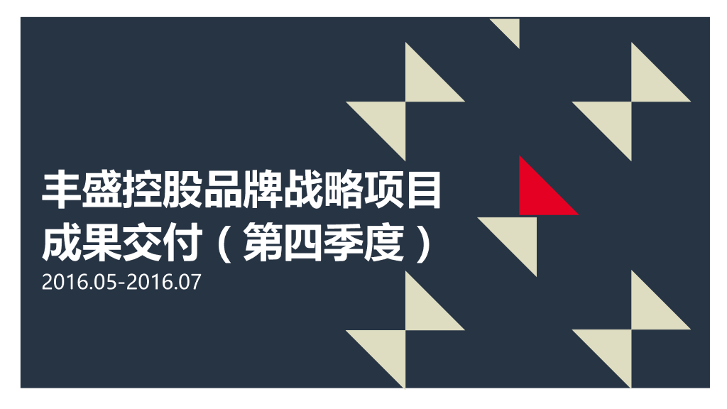 丰盛品牌战略项目成果交付-51个单项方案