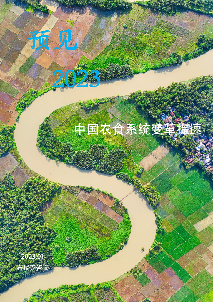 布瑞克咨询：预见2023：中国农食系统变革提速
