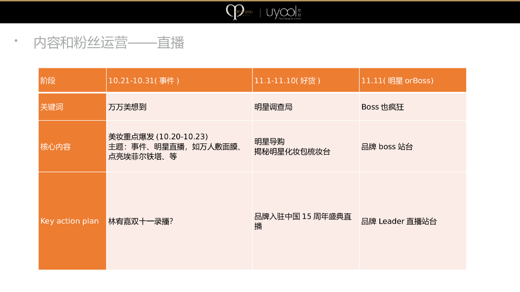 CPB美妆产品天猫店铺双十一方案_第5页