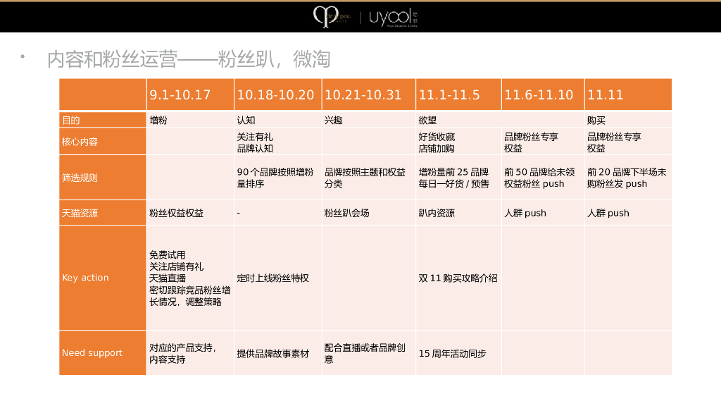 CPB美妆产品天猫店铺双十一方案_第6页