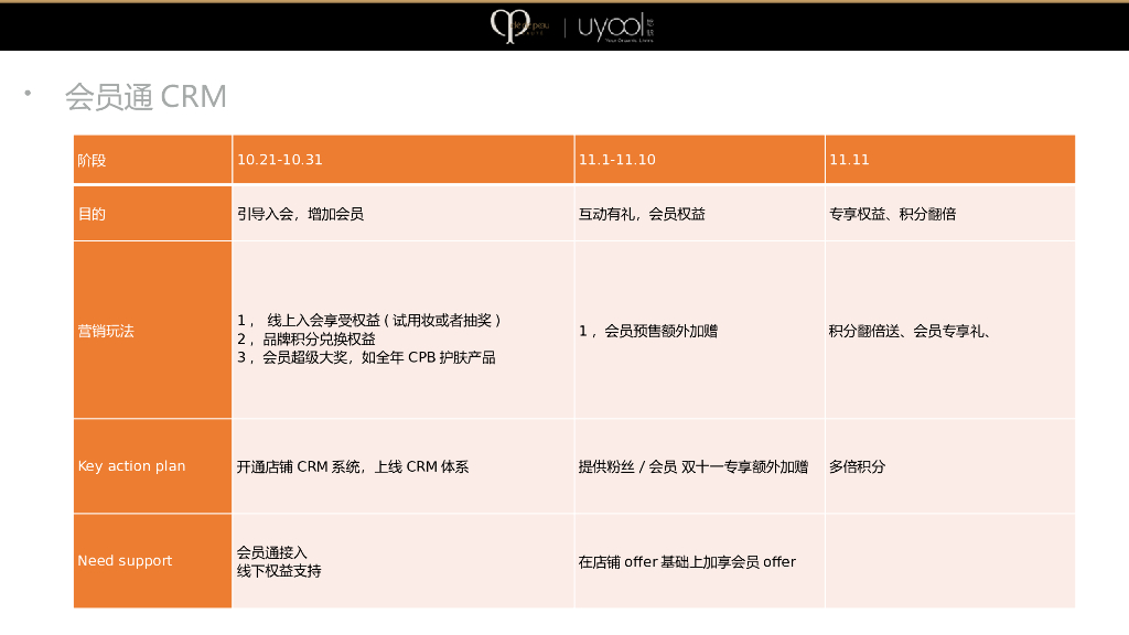 CPB美妆产品天猫店铺双十一方案_第7页