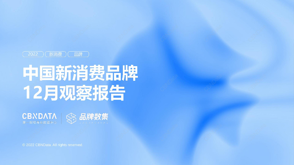 CBNData：2022年12月中国新消费品牌观察报告