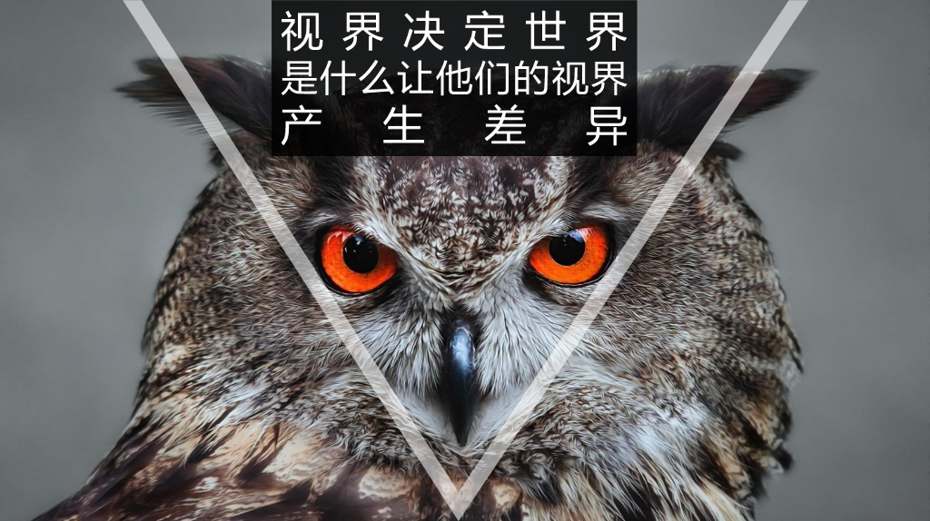 荣耀V8上市营销战役数字传播提案_第8页