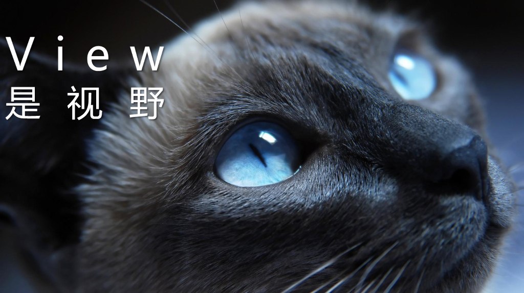 荣耀V8上市营销战役数字传播提案_第9页