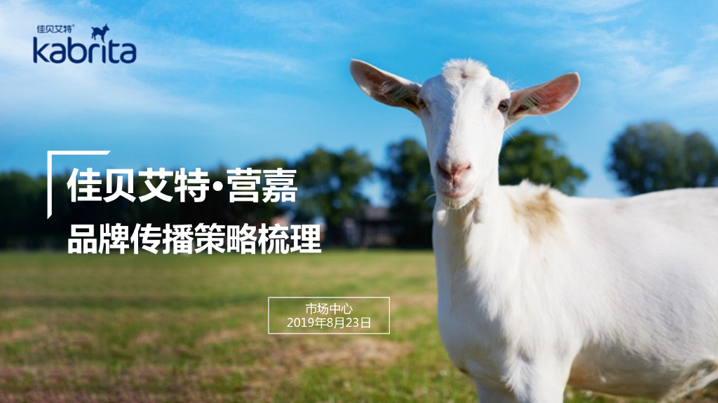 佳贝艾特-营嘉奶粉品牌传播策略梳理方案