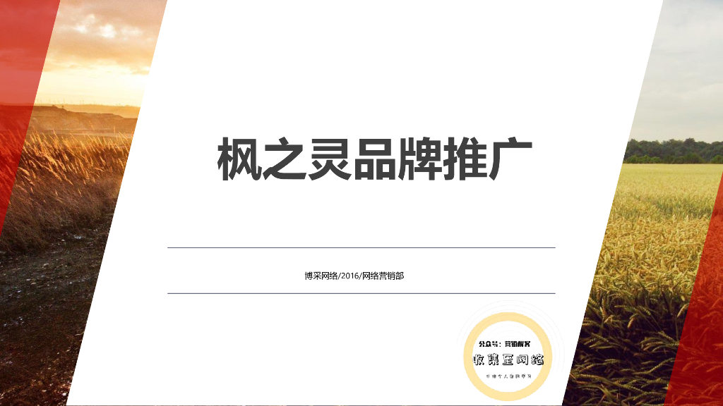 枫之灵品牌推广博彩