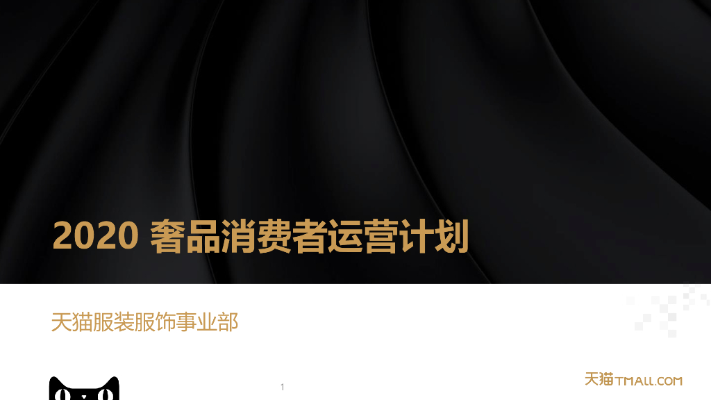 2020天猫奢品消费者运营计划