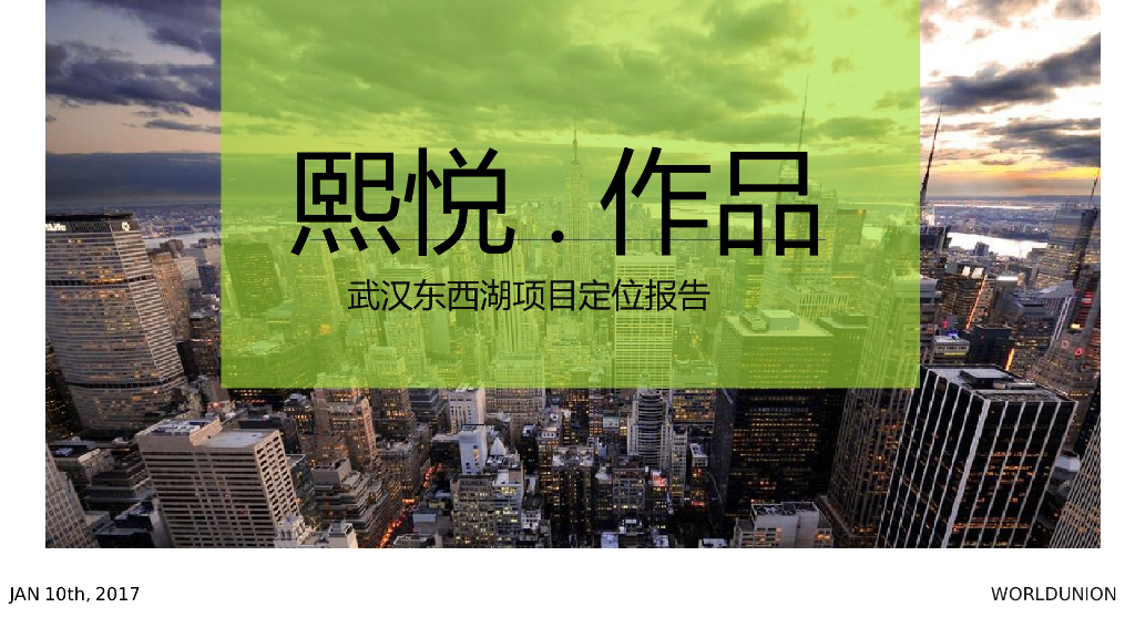 2017武汉中南熙悦项目定位报告