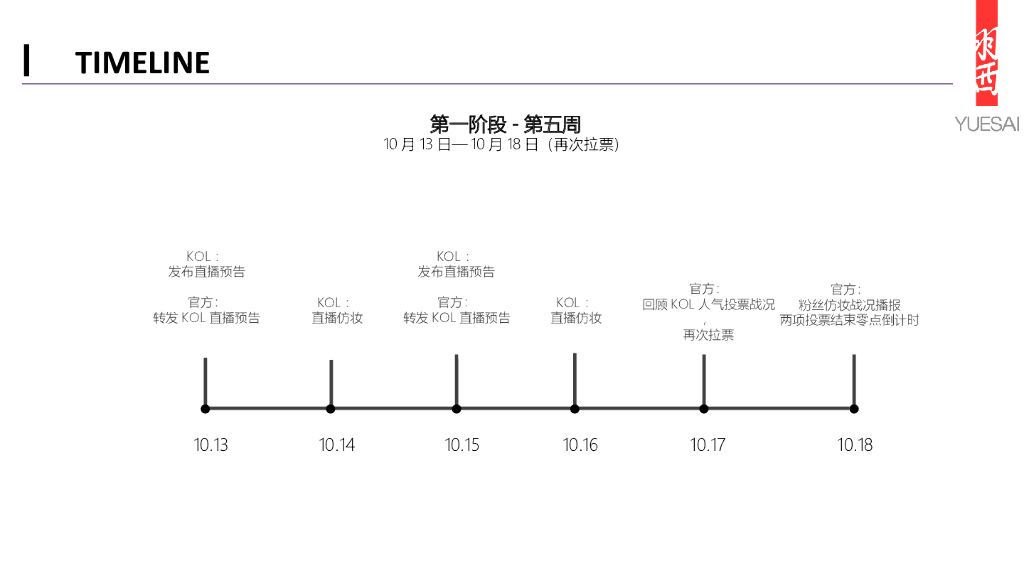 羽西双十一营销方案_第8页