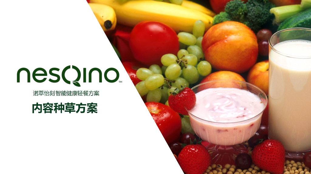 NesQino上市种草方案-提案版