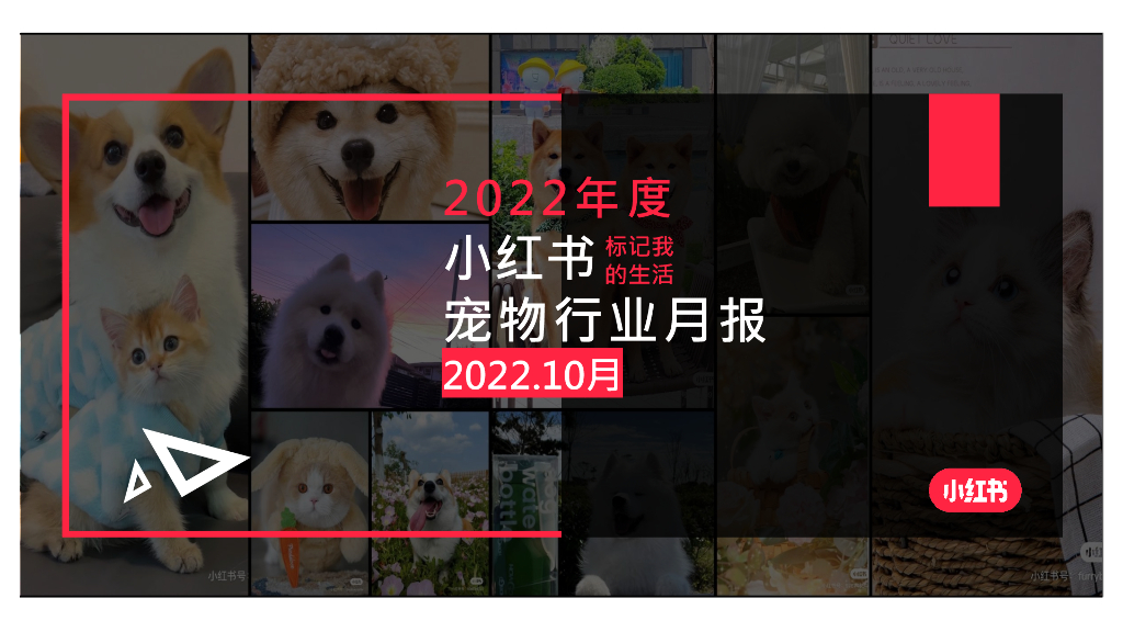 小红书：2022年10月小红书宠物行业月报