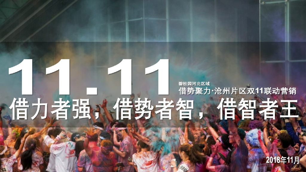 2018碧桂园借力借势借智河北区域沧州片区双11联动营销方案