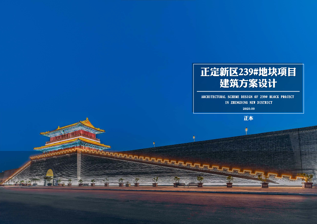 [河北]正定新区239#地块项目现代风格洋房+售楼处建筑投标方案文本