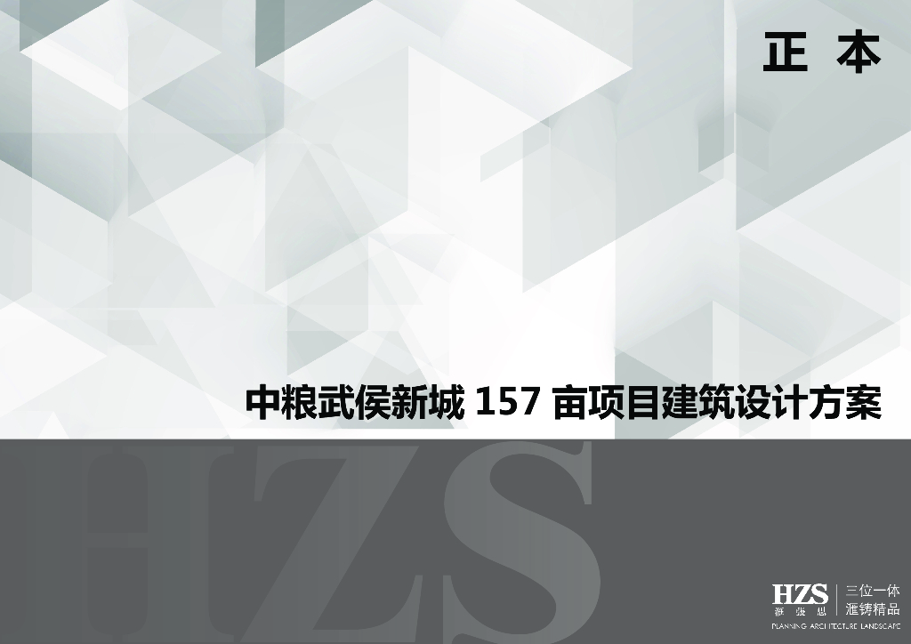 [四川]中粮洋房+叠拼别墅建筑设计方案