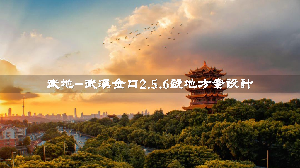 [湖北] 武汉金口新城地块项目现代中式风格高层+叠墅概念方案2021