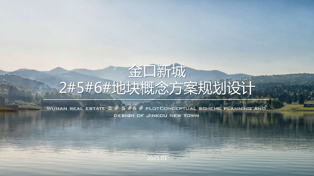 [湖北]武汉金口新城地块项目概念方案设计：现代人文休闲高层+叠墅居住建筑方案