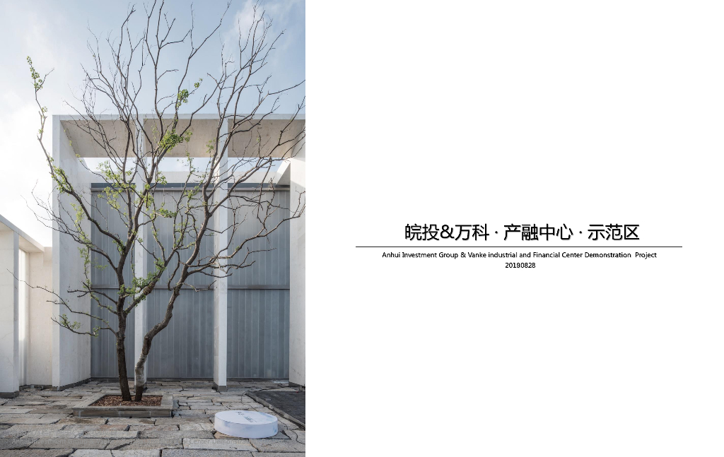 安徽知名企业产融中心 · 示范区建筑方案