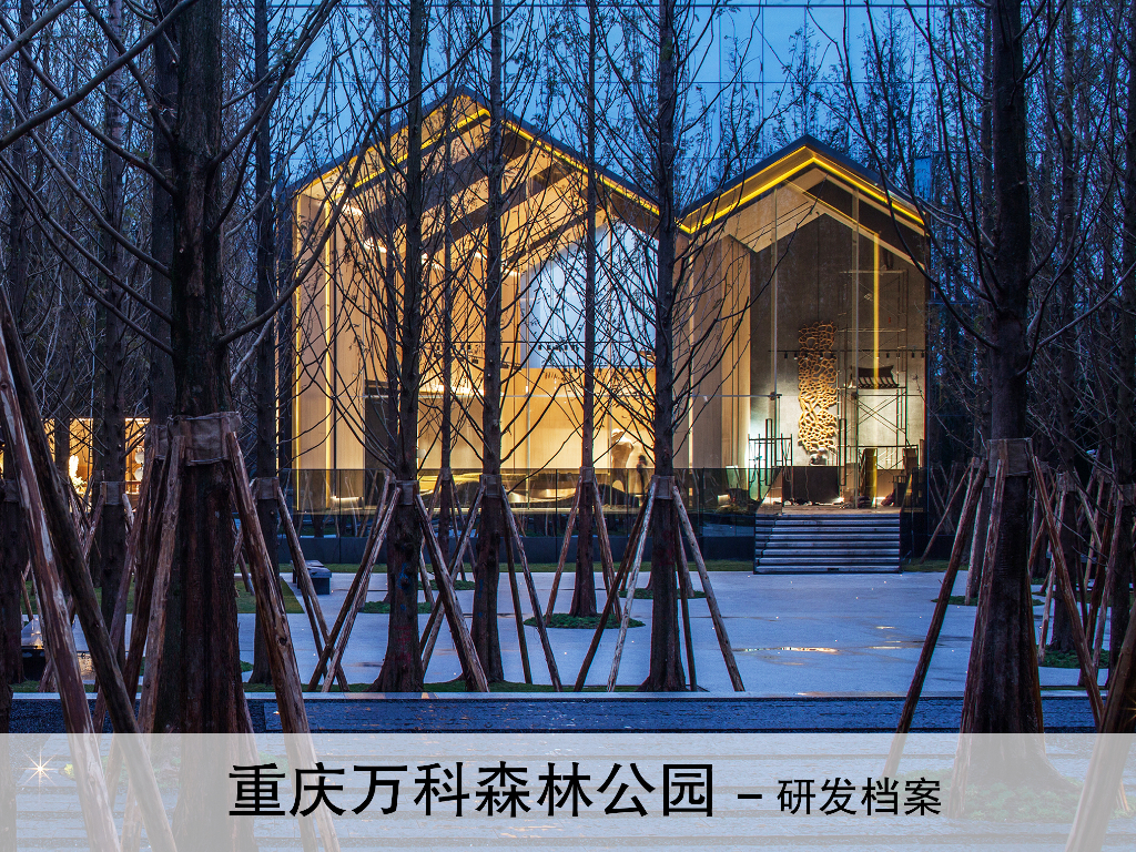 [重庆]重庆知名地产森林公园建筑设计