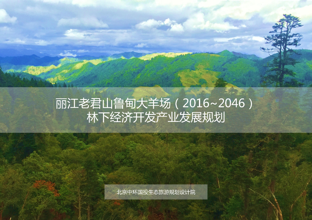 [广西]​丽江中草药产业旅游规划方案文本