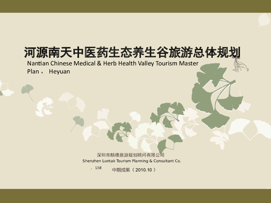[广东]河源南天中医养生谷旅游总体规划方案