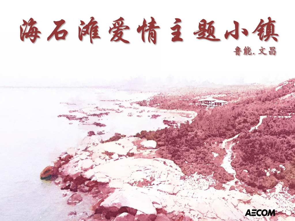 [海南]鲁能文昌海石滩旅游小镇规划（爱情主题）