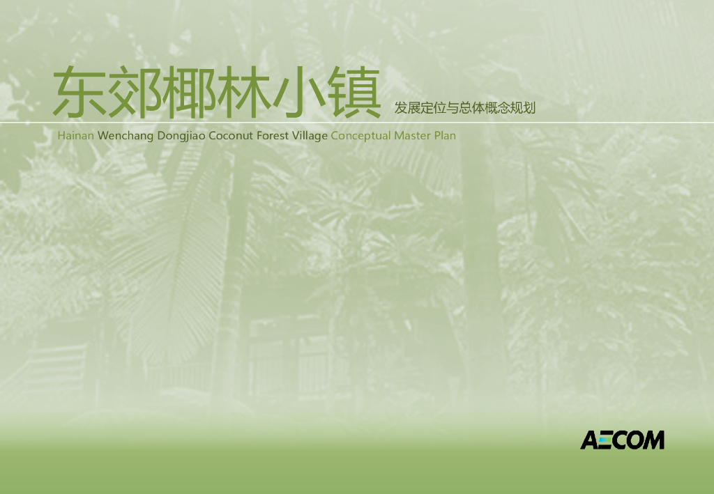 [海南]东郊椰林小镇总体概念规划设计