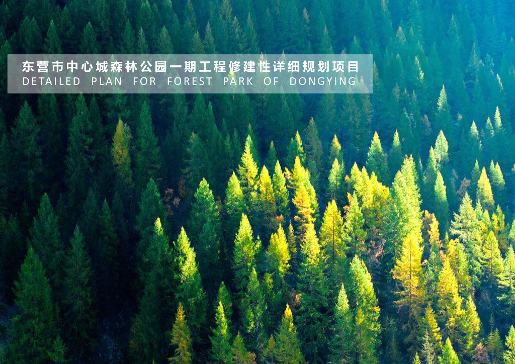 东营市中心城特色森林公园一期工程景观修建性详细规划方案文本