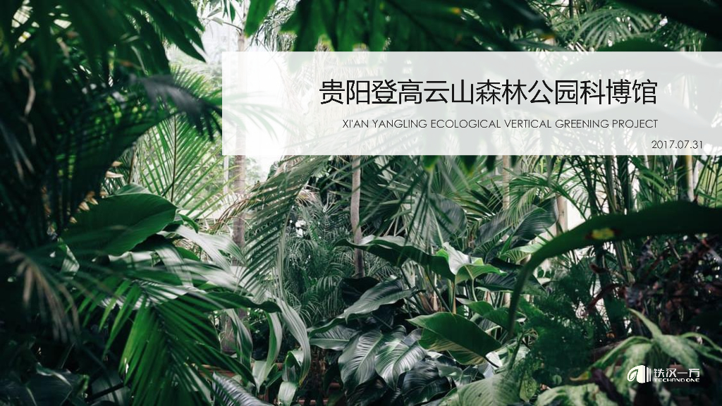 [贵州]森林公园科博馆绿化墙设计方案文本