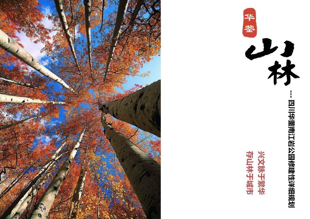 [四川]华蓥南江岩生态公园景观设计方案