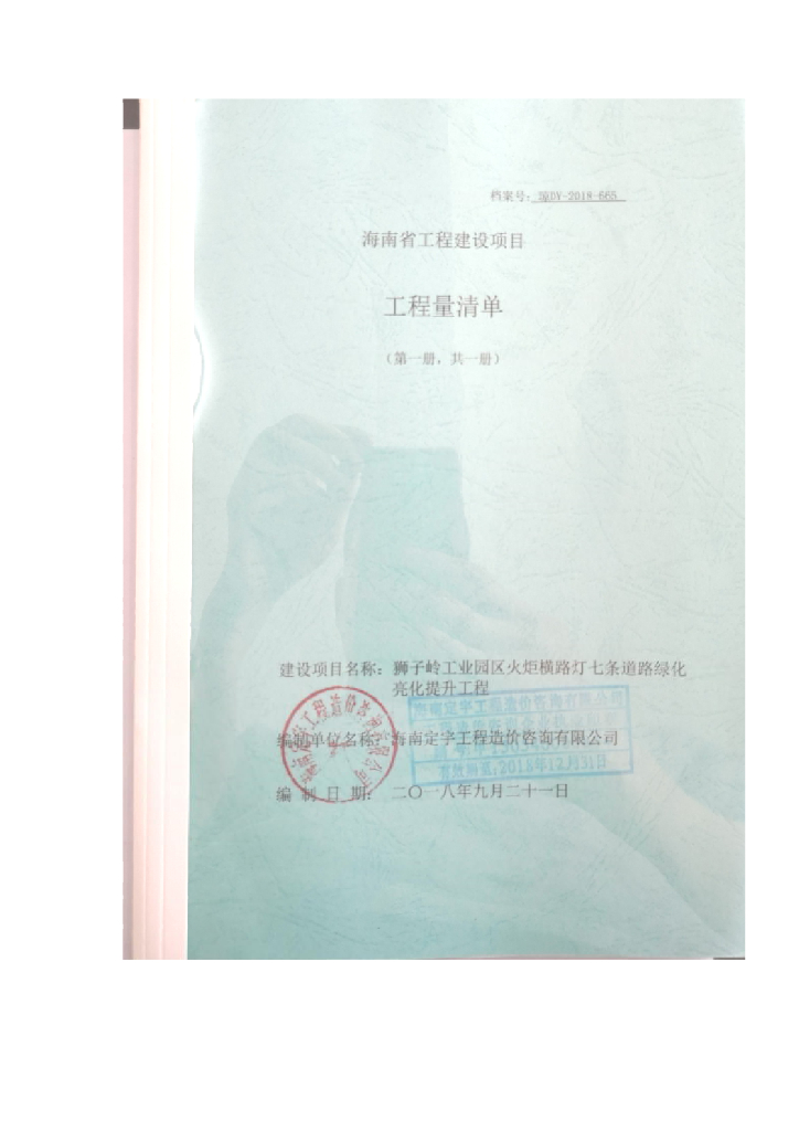 [海南]工业园区七条道路绿化亮化提升工程