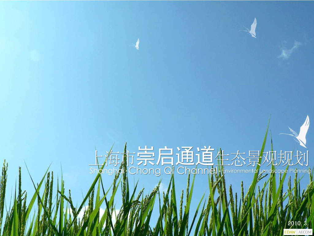 [上海]某道路街景生态景观规划设计