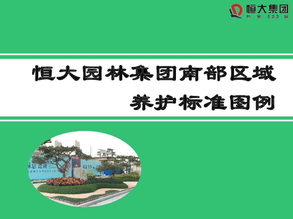 [园林施工管理]大型园林集团南部区域养护标准图例（阴生植物）