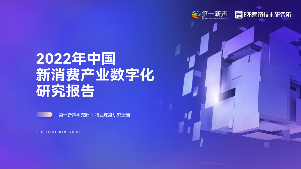 第一新声：2022年新消费产业<em>数<em>字化</em></em>研究报告 海报