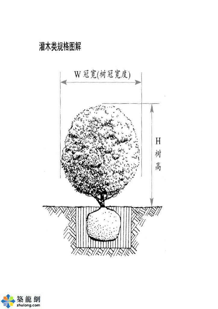 植物规格图解pdf