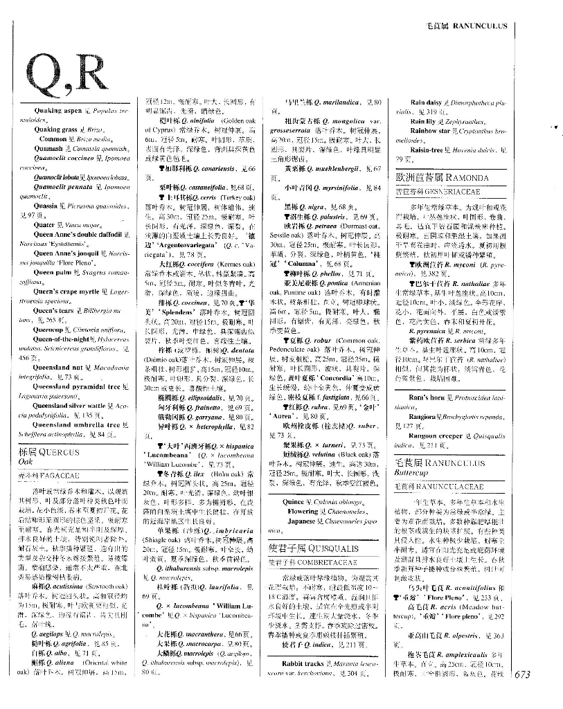 世界园林植物与花卉百科全书-植物词典-Q