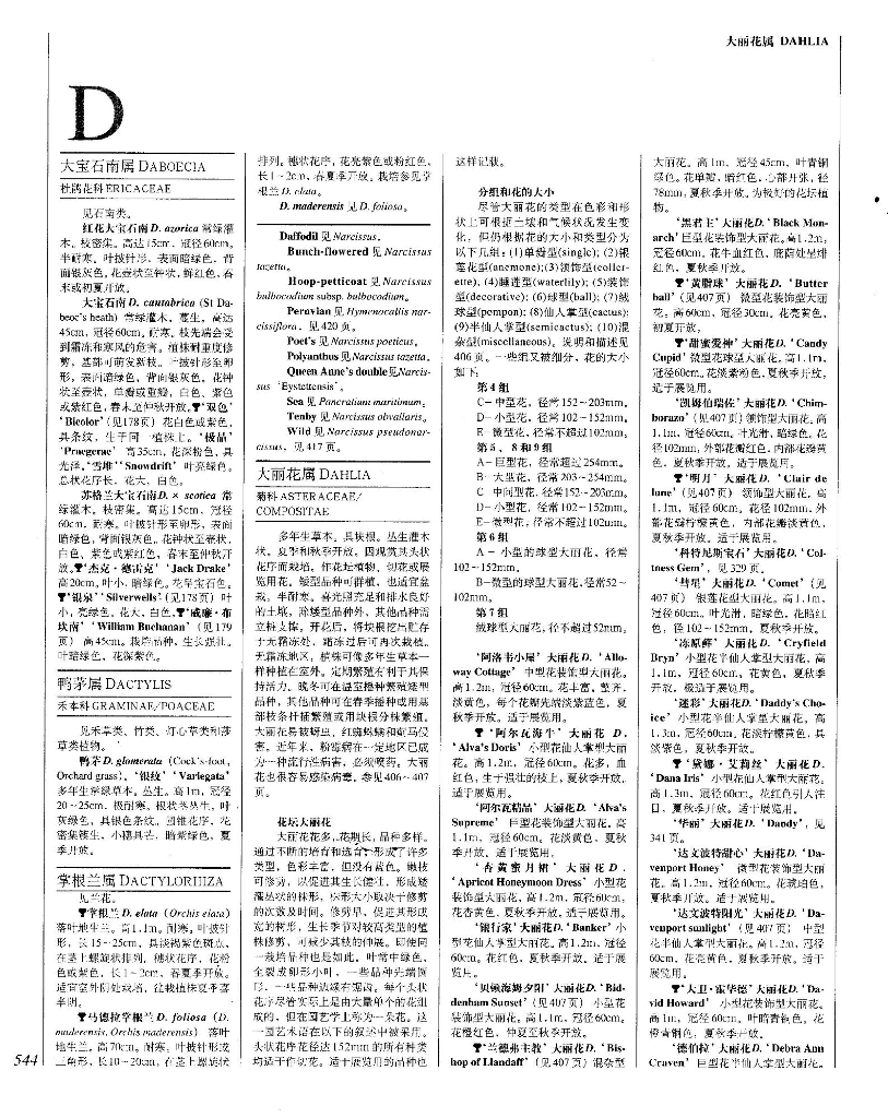 世界园林植物与花卉百科全书-植物词典-D