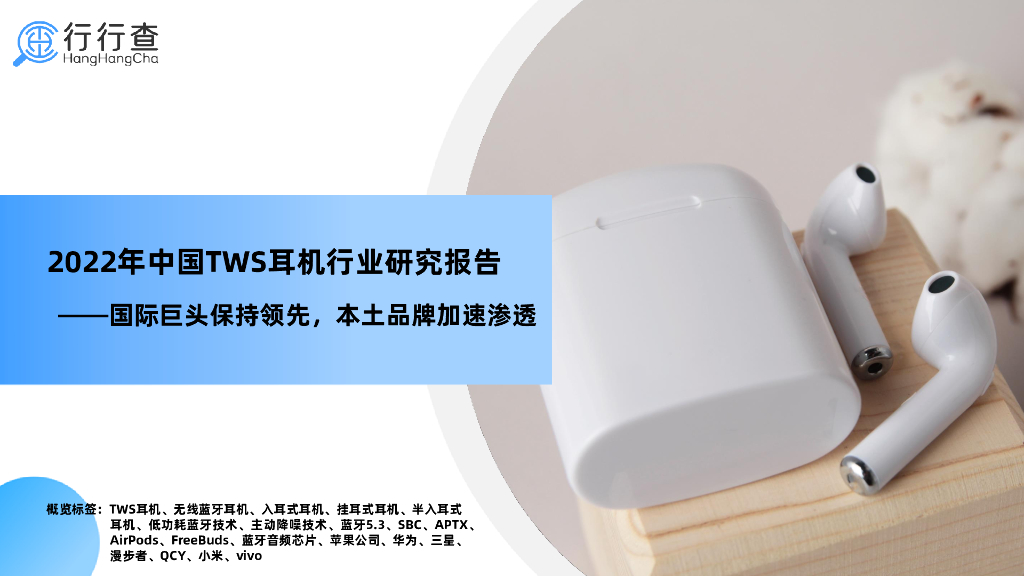 行行查：2022年中国TWS耳机行业研究报告
