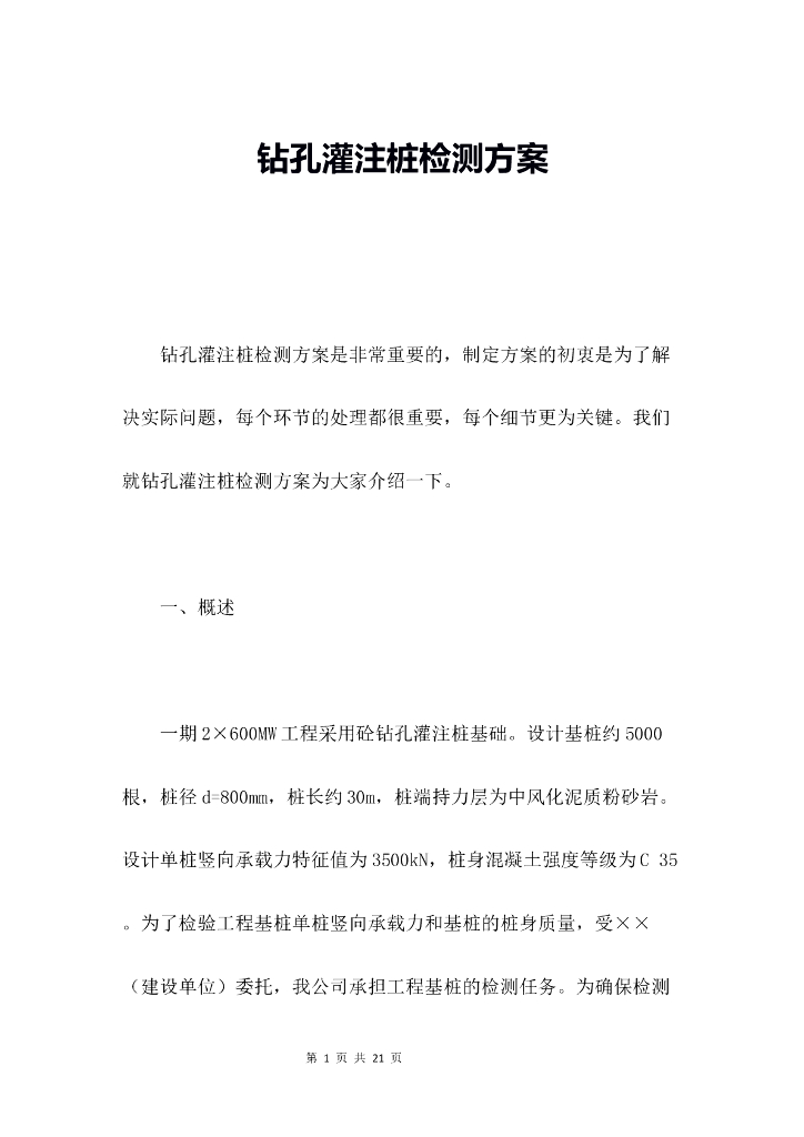 砼钻孔灌注桩基础检测方案