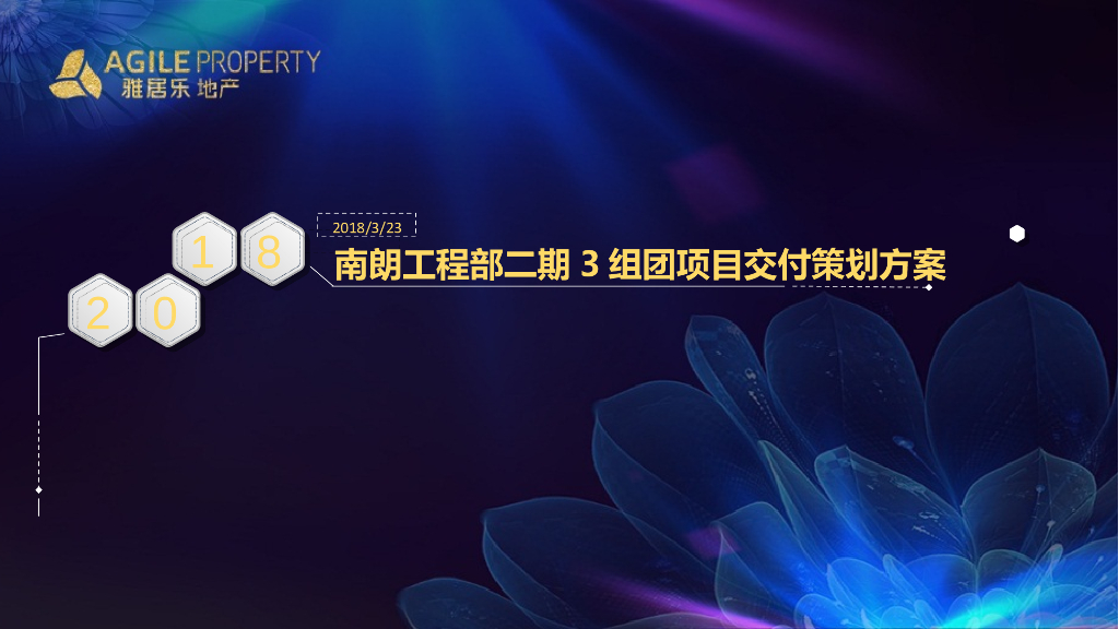项目交付策划方案