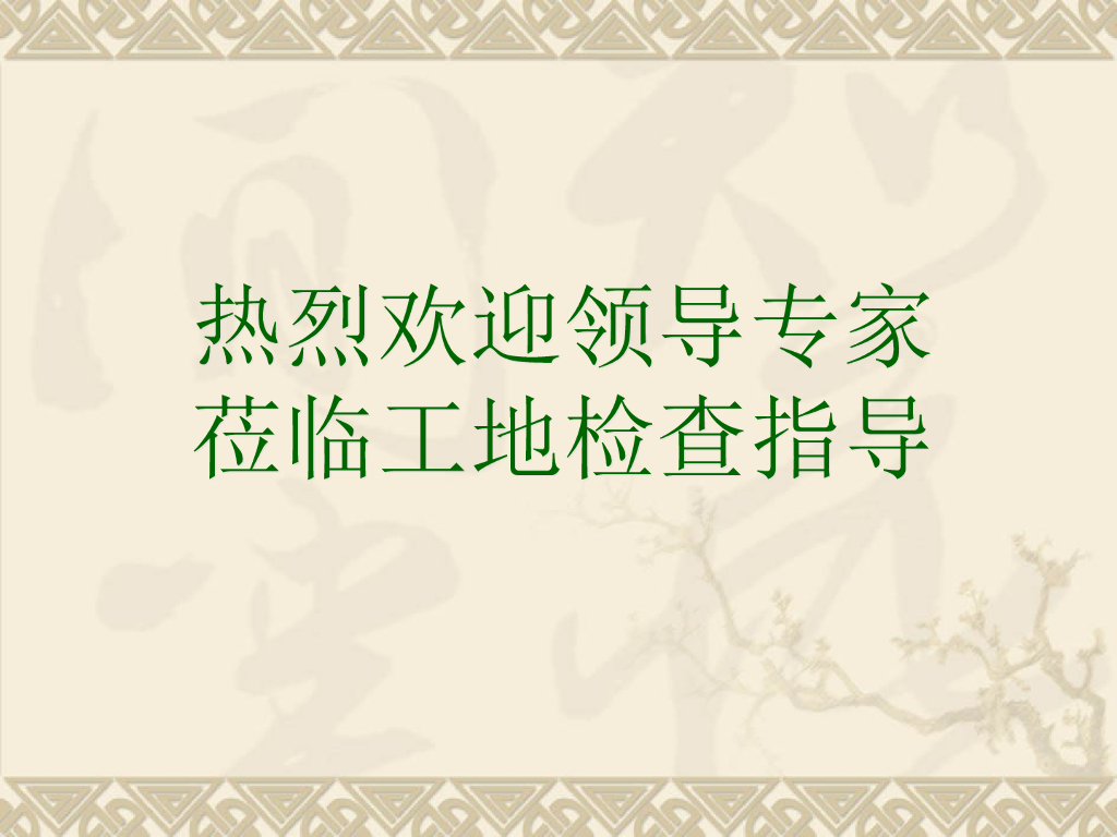 主体工程中间结构验收汇报PPT（图文并茂）