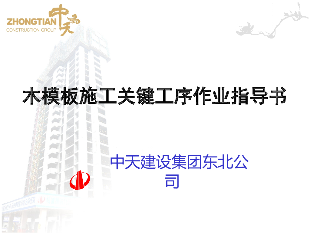 木模板施工关键工序作业指导书(2013版，图文详细)