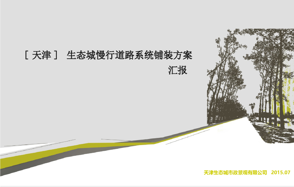 [天津] 生态城慢行道路系统铺装方案汇报