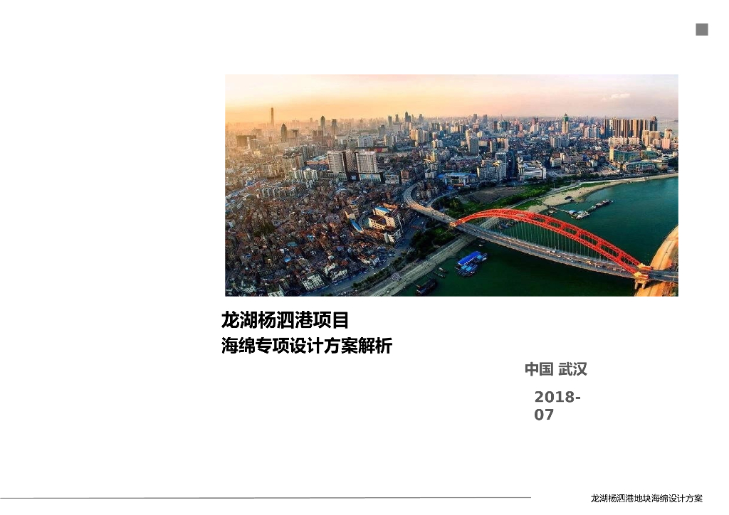 [武汉]知名地产杨泗港项目海绵专项设计方案解析