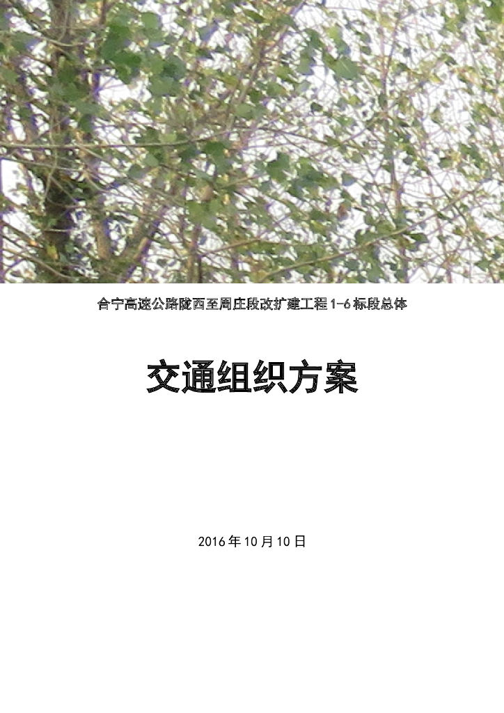[安徽]高速公路改扩建工程交通组织方案(155页)