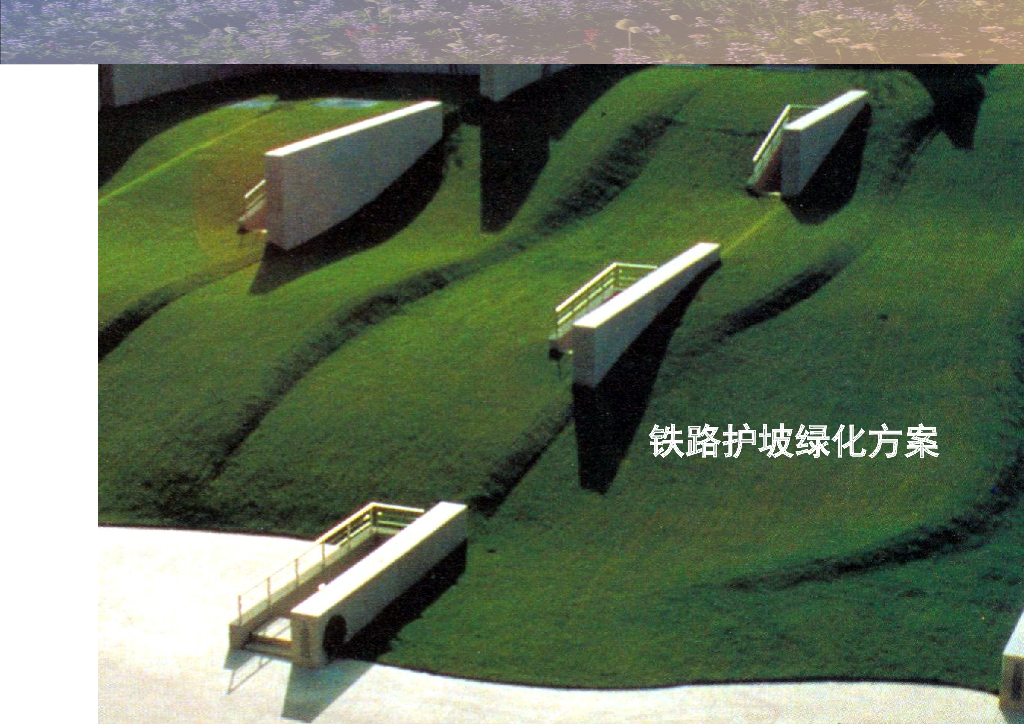 铁路两旁护坡绿化施工方案（ppt,17页）